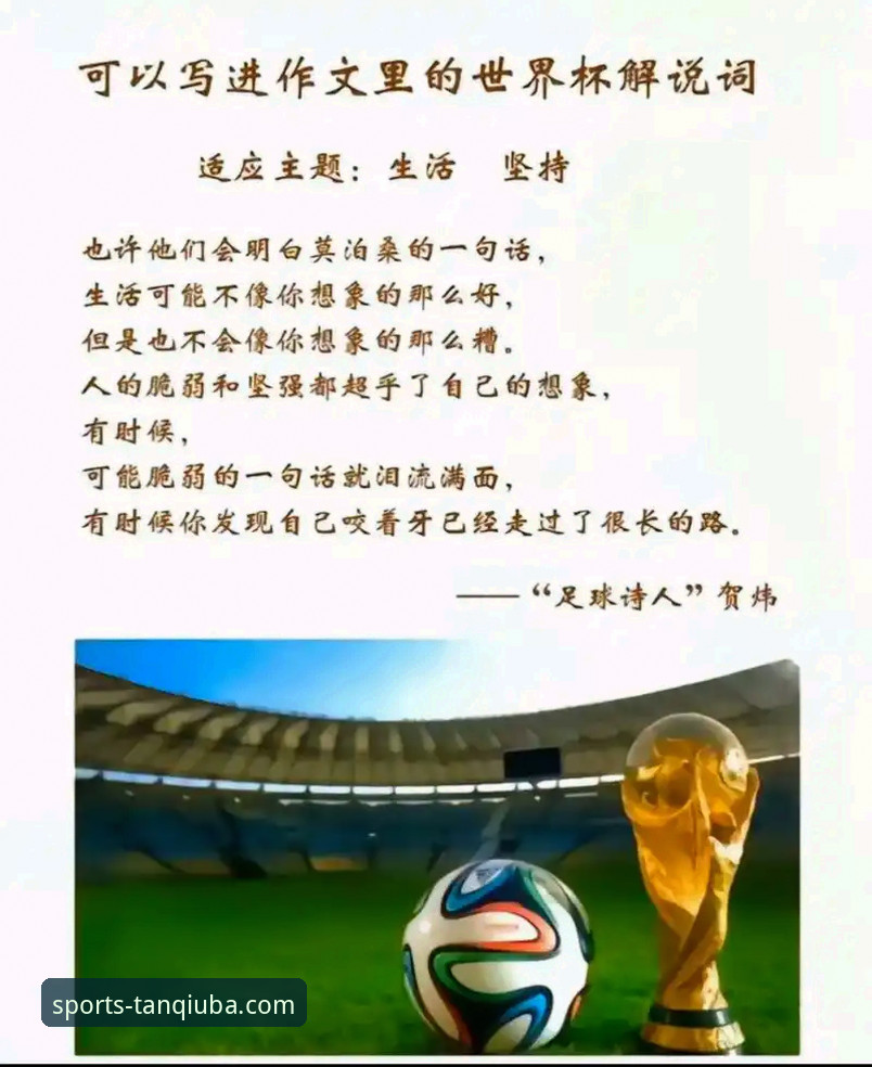 卡洛斯专访解读：世界杯展望与传奇对话