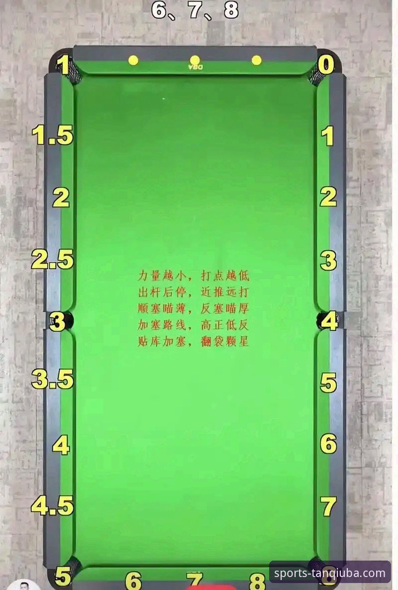 谈球吧最新版本下载与安装全流程操作教程