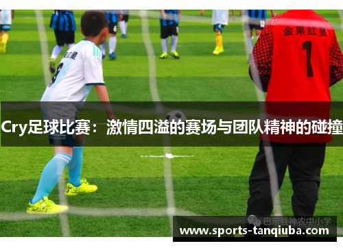 Cry足球比赛：激情四溢的赛场与团队精神的碰撞