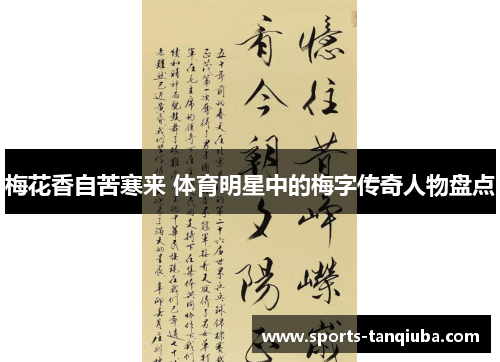梅花香自苦寒来 体育明星中的梅字传奇人物盘点
